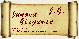 Junoša Gligurić vizit kartica